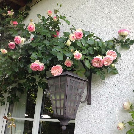 Le Petit Val Rose Villennes-sur-Seine Exterior foto