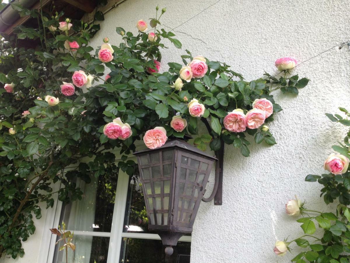 Le Petit Val Rose Villennes-sur-Seine Exterior foto